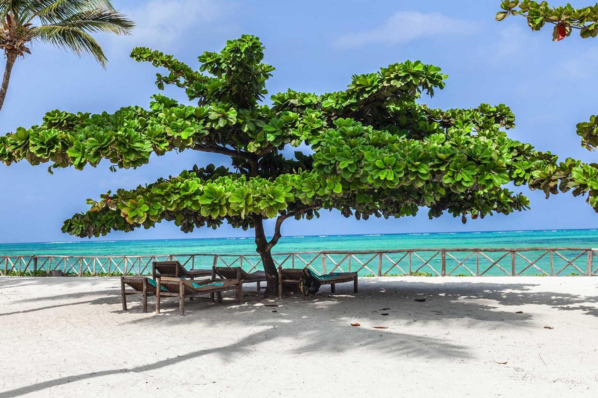 Vrclub Paje Palms Beach Resort Εξωτερικό φωτογραφία